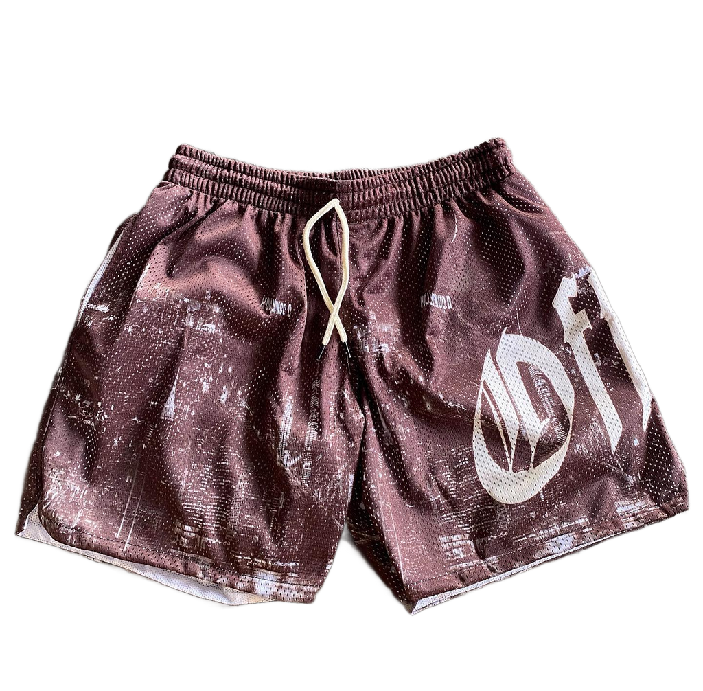 Hollywood Mesh Shorts